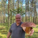 ���������� �����-���������, ���� ������� ����, 50 ���, ������������ ��� ����� � ���������, c�������� ���������