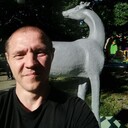 ���������� ������, ���� ������� �����, 38 ���, ������������ ��� ����� � ���������, c�������� ���������