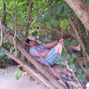  ,   MrD, 37 ,   , 