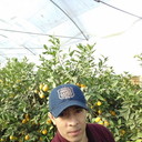 ���������� �����-���������, ���� ������� ����, 41 ���, ������������ ��� ������, ����� � ���������, c�������� ���������