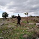 ���������� �����-���������, ���� ������� Sem, 33 ����, ������������ ��� ������, ����� � ���������