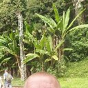 ���������� ����, ���� ������� �������, 51 ���, ������������ ��� ������, ����� � ���������