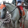  ,   , 35 ,     , c 