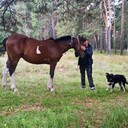 ���������� ������-���������, ���� ������� ������, 61 ���, ������������ ��� c�������� ���������