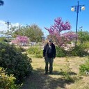 ���������� ������, ���� ������� ������, 55 ���, ������������ ��� c�������� ���������