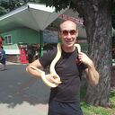 ���������� ������, ���� ������� �����, 33 ����, ������������ ��� ������, ����� � ���������, c�������� ���������