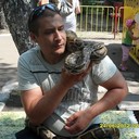 ���������� ����, ���� ������� ������, 44 ����, ������������ ��� ������, ����� � ���������, c�������� ���������