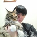 ���������� ������, ���� ������� ��������, 38 ���, ������������ ��� ����� � ���������