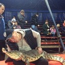 ���������� ������, ���� ������� �����, 40 ���, ������������ ��� ������, ����� � ���������, c�������� ���������