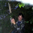  ,   URL, 46 ,   ,   