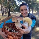 ���������� ����, ���� ������� ��� ��������, 40 ���, ������������ ��� ������, ����� � ���������, c�������� ���������, ���������