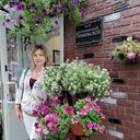 ���������� �����������, ���� ������� �����, 50 ���, ������������ ��� c�������� ���������