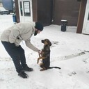  ,   Dzonnon, 32 ,   ,   