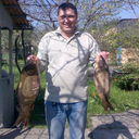  ,   Makar, 55 ,     , c 