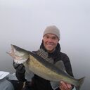 ���������� �������, ���� ������� �������, 31 ���, ������������ ��� ������, ����� � ���������, c�������� ���������, ���������