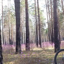 ���������� �������, ���� ������� ���������, 42 ����, ������������ ��� ������, ����� � ���������, c�������� ���������, ���������