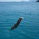 ���������� ������, ���� ������� �������, 45 ���, ������������ ��� ������