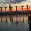  ,   Yersain, 36 ,   ,   , c 