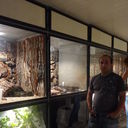 ���������� ������, ���� ������� Roman, 41 ���, ������������ ��� ������, ����� � ���������, c�������� ���������