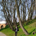 ���������� �����, ���� ������� ����, 27 ���, ������������ ��� ������, ����� � ���������, c�������� ���������