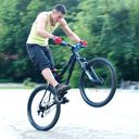 ���������� ���������, ���� ������� �������, 39 ���, ������������ ��� ������, ����� � ���������, c�������� ���������