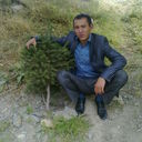 ���������� �����������, ���� ������� ������, 37 ���, ������������ ��� ����� � ���������, c�������� ���������