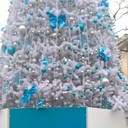 ���������� ���������, ���� ������� ��������, 34 ����, ������������ ��� ������, ����� � ���������, c�������� ���������