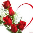  Edmundston,   Williamsmith, 51 ,   ,   
