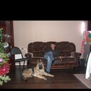  ,   , 42 ,   ,   