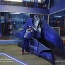 ���������� ������������, ���� ������� C���, 40 ���, ������������ ��� ����� � ���������, c�������� ���������