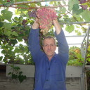  ,   Hugo, 61 ,   