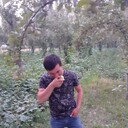 ���������� ������, ���� ������� �����, 29 ���, ������������ ��� ������, ����� � ���������