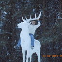 ���������� �����, ���� ������� �����, 38 ���, ������������ 