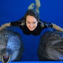  ,   , 46 ,   ,   , c , 