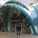 ���������� �����������, ���� ������� �������, 43 ����, ������������ ��� ����� � ���������, c�������� ���������