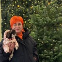 ���������� ������, ���� ������� ��������, 51 ���, ������������ ��� c�������� ���������