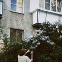 ���������� ���������, ���� ����� ������, 21 ���, ������������ ��� ������, ����� � ���������