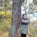 ���������� ��������, ���� ������� ����, 53 ����, ������������ ��� ������, ����� � ���������, c�������� ���������