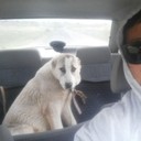 ���������� ���������, ���� ������� �����, 37 ���, ������������ ��� ������, ����� � ���������, c�������� ���������