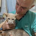 ���������� �����-���������, ���� ������� Volodya, 48 ���, ������������ ��� ������, ����� � ���������