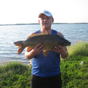  -,   Kolles2013, 41 ,  