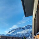 ���������� ������, ���� ������� ����, 49 ���, ������������ ��� ������, ����� � ���������