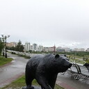 ���������� �����������, ���� ������� ���������, 36 ���, ������������ ��� ������, ����� � ���������, c�������� ���������, ���������