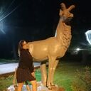 ���������� �����������, ���� ������� �����, 30 ���, ������������ ��� ������, ����� � ���������, c�������� ���������