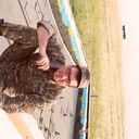 ���������� ����-�����������, ���� ������� C����, 50 ���, ������������ ��� ������