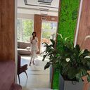 ���������� ������, ���� ������� �����, 55 ���, ������������ ��� c�������� ���������