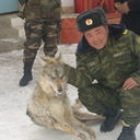 ���������� ������, ���� ������� �������, 34 ����, ������������ ��� ������