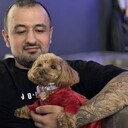 ���������� ���������, ���� ������� �����, 36 ���, ������������ ��� ������, ����� � ���������, c�������� ���������, ���������