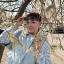 ���������� �������, ���� ������� ����, 58 ���, ������������ ��� c�������� ���������, ���������