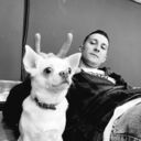  ,   Roma, 33 ,   ,   , c , 